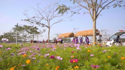 百花爭春！2023廣東省森林文化周春季活動正式啟動